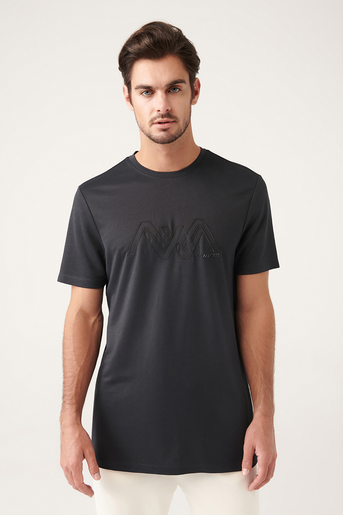 Avva Erkek Tişört A31Y1015