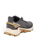 Salomon Alphacross 4 Erkek Ayakkabı L41724100