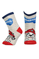 Paw Patrol Çocuk Çorap PP-03