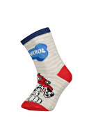 Paw Patrol Çocuk Çorap PP-03