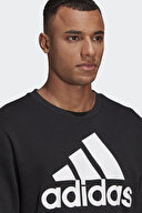 adidas Erkek Sweatshirt GK9076