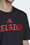 adidas Erkek Tişört HD6359