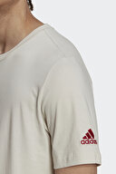 adidas Erkek Tişört HD6365