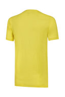 Puma Erkek Tişört 77313603