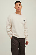 Jack Jones Erkek Sweatshirt 12216345