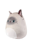 Squishmallow Siyam Kedisi Felton 20 cm