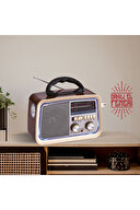 Polosmart FS49 Radyo Wood