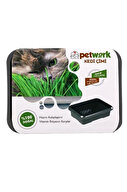 Petwork Kedi Çimi