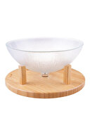 Bambum Kuga Cam Kapaklı Fanus 30 cm