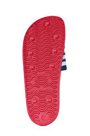 Twigy Erkek Terlik ZZ0574