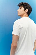 Lee Erkek Tişört L60UFQ12