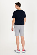 U.S. Polo Assn. Erkek Şort 1573702