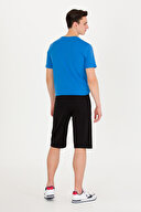 U.S. Polo Assn. Erkek Şort 1573670