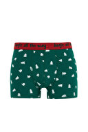 Defacto Erkek Boxer Y9757AZTR