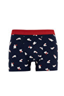 Defacto Erkek Boxer Y9952AZTR