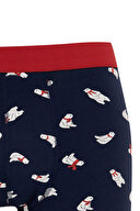 Defacto Erkek Boxer Y9952AZTR