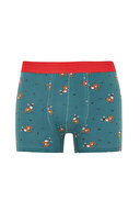 Defacto Erkek Boxer Y9786AZTR