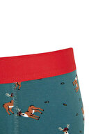 Defacto Erkek Boxer Y9786AZTR