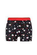 Defacto Erkek Boxer Y9760AZTR