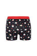 Defacto Erkek Boxer Y9760AZTR