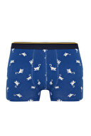 Defacto Erkek Boxer Y7844AZTR
