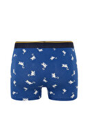 Defacto Erkek Boxer Y7844AZTR