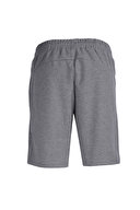 Lumberjack Erkek Şort BASIC CT103 ANTRASİT