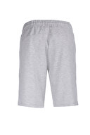 Lumberjack Erkek Şort BASIC CT103 GRİ