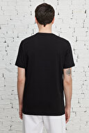 Altınyıldız Classics Erkek Tişört 4A4823200033