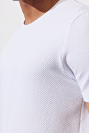 Altınyıldız Classics Erkek Tişört 4A4823200065