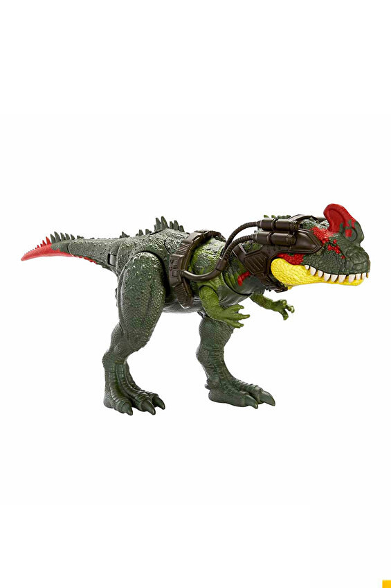 Oyuncak Jurassic World İz Sürücü Dinozor Figürleri HLP23 Oyuncak Jurassic World İz Sürücü Dinozor Figürleri HLP23